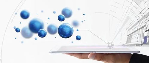 網(wǎng)絡(luò)接入業(yè)務(wù)與服務(wù) 招商引資的新突破口