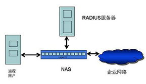 RADIUS工作原理及服務器測試在網絡接入業務與服務中的應用